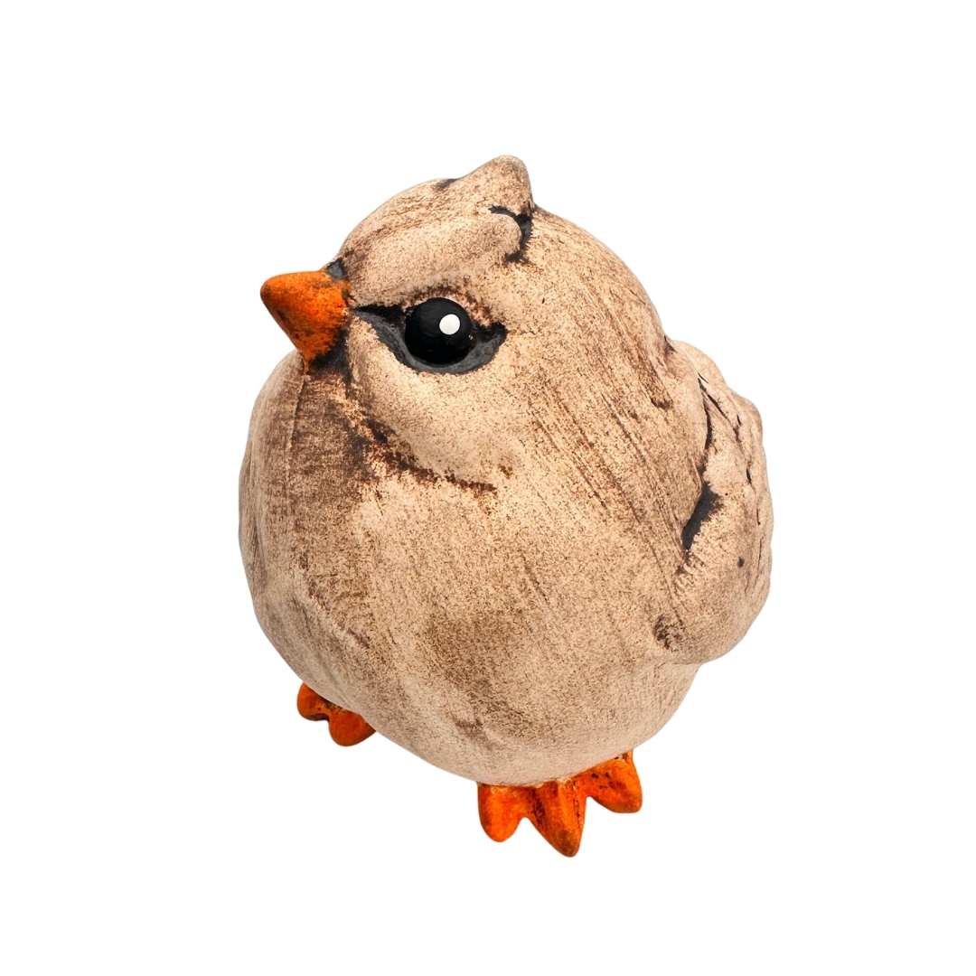 Boční pohled na ptáčka Cvalíčka